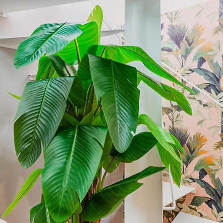 Apartment La Torre Pistoia